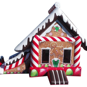 22ft christmas combo (copy)