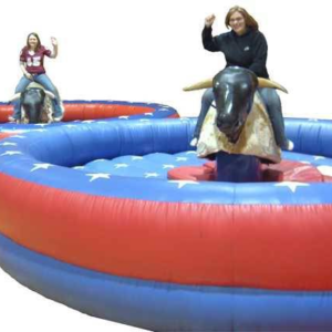 cowgirl rodeo bull – wild edition (copy)