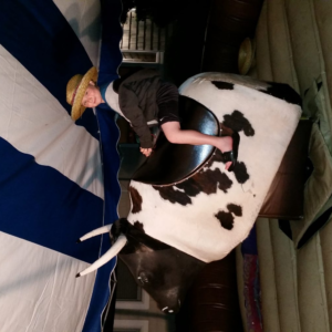 americano mechanical bull (copy)