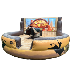 western rodeo bull (copy)