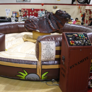 wild west bull (copy)