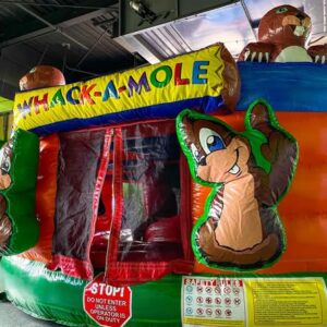 inflatable whack a mole challenge